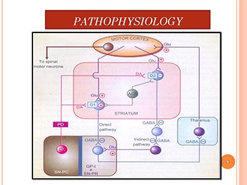 Models For Parkinsons Disease