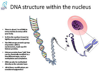 Epigenetics