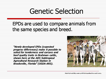 Genetic Selection and Transfer