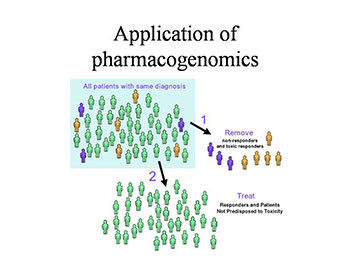 Biochemical and Molecular Genetics Of Human Disease