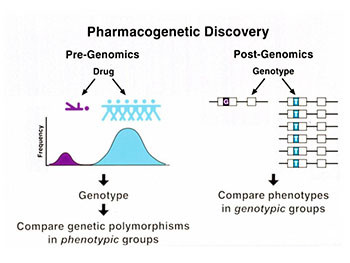 Pharmacogenetics and Pharmacogenomics