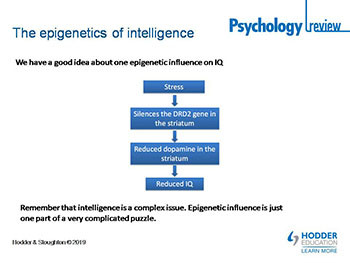 Epigenetics