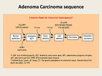 Benign and Malignant Tumors of The Rectum