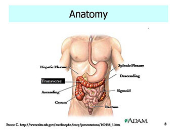 Diverticular Disease And Hemorrhoids