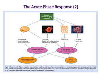 An Introduction To Nutrition In Critical Care