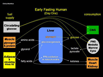 Nutritional Assessment and Support