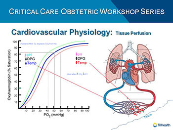 Shock In The Obstetric Patient