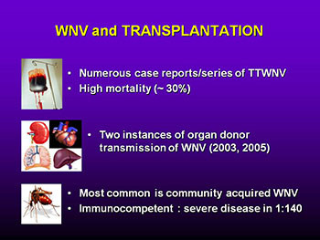 Infections Following Renal Transplantation and An Update on CMV