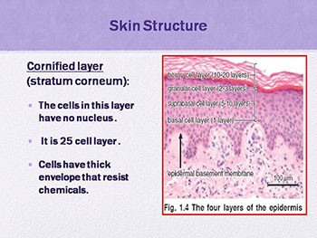 Introduction to Dermatology