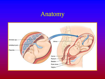 Obstetrics and Gynecological Emergencies