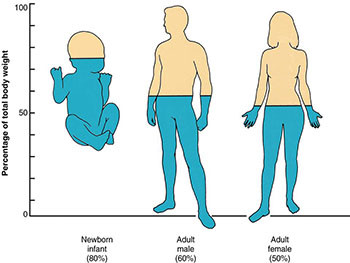 Water And Electrolytes Balance And Imbalance In Human Body