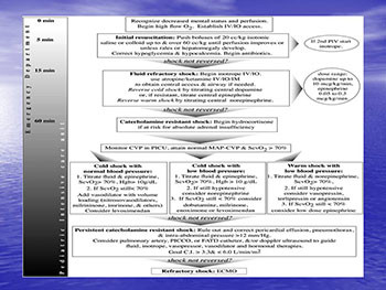 Pediatric Sepsis