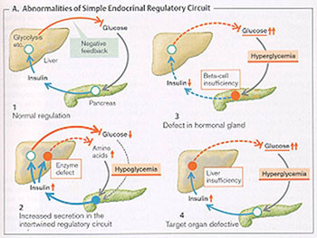 Disorders of Endocrine System