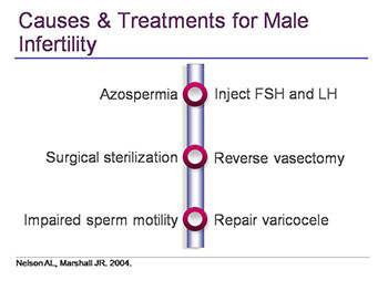 Treatment Options For Infertility