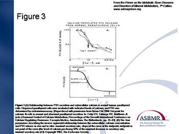 Parathyroid Hormone