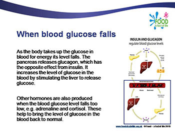 Diet Insulin and Blood Glucose