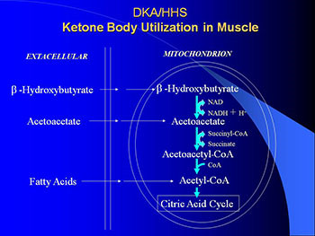 Diabetic Ketoacidosis-DKA and Hyperglycemic Hyperosmolar State-HHS