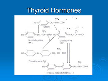 Thyroid Disorders