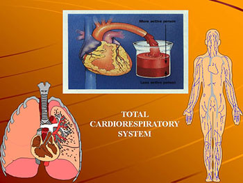 Cardiorespiratory Fitness