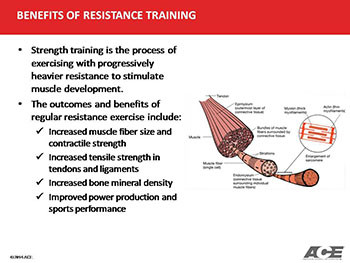 Resistance Training-Programming and Progressions