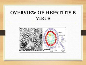 Hepatitis Viruses-An Overview