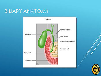 Gallstone Disease-The Big Picture