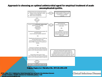 Urinary Tract Infections In The Elderly