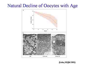 Fertility in Cancer Patients