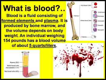 Blood and Lymph system Anatomy and Physiology