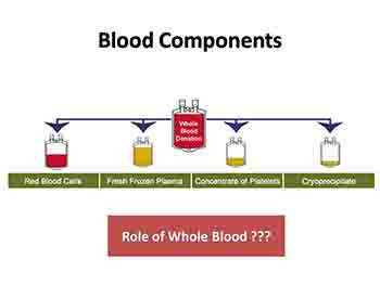 Blood Component Therapy