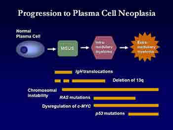 Advances in Biology and Pathophysiology of Multiple Myeloma