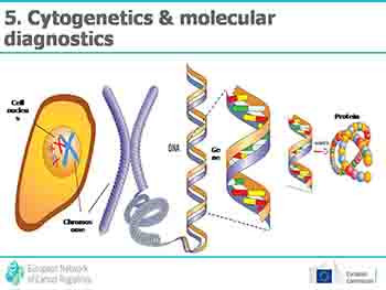 Haematological Malignancies