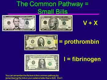 Coagulation Made Easy