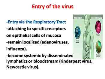 Mechanisms of Infection and pathogenesis