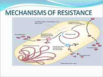 Mechanisms of Antibiotic Resistance