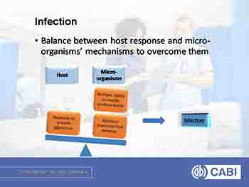 Antimicrobials and Antimicrobial Resistance
