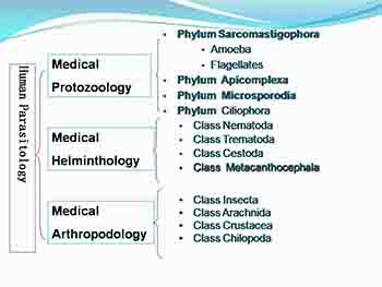 Introduction to Medical Parasitology