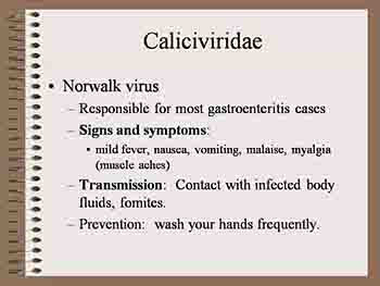 Viral Diseases