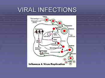 Immune Response to Infectious Disease