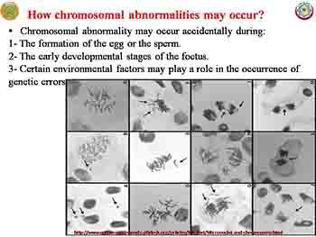 An introduction to Human Genetics