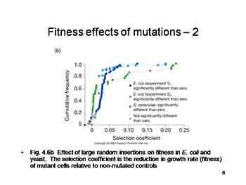 Mutation and Genetic Variation