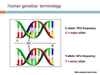 A brief history of imaging genetics