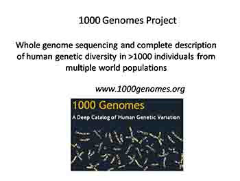 An introduction to human genomics