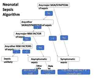 Neonatal Sepsis Algorithm