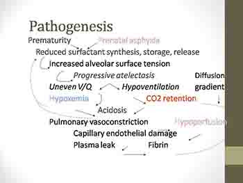 Respiratory Distress in Newborn