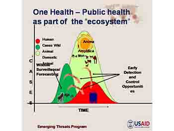 Emerging Infectious Diseases