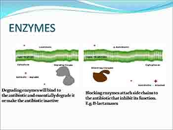 Mechanisms of Antibiotic Resistance
