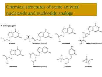 Antiviral Drugs