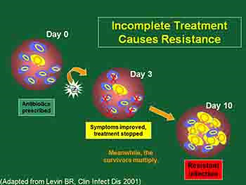Antibiotic Resistance