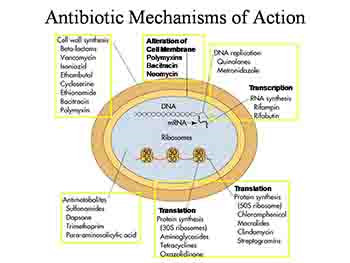 Antimicrobial Agents